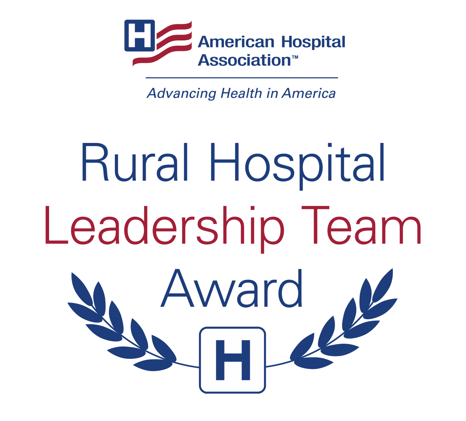 Rural Health Services AHA