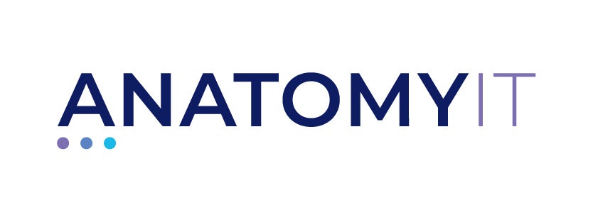 Anatomy IT Logo